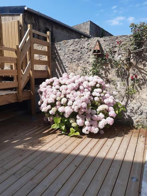 Champetre - Gite Entierement Neuf A 100 Metres De La Plage Wimereux Zewnętrze zdjęcie
